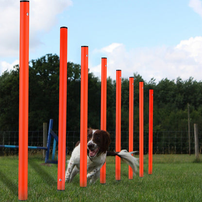 Dog Agility Training Equipment Set