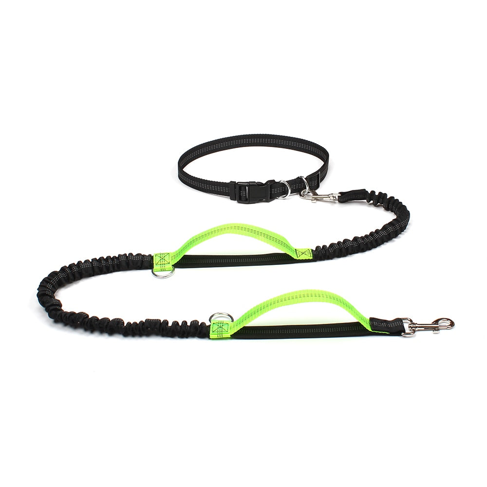 Reflective Dual Handle Bungee Dog Leash