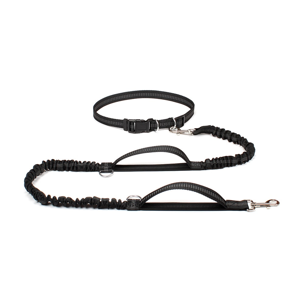 Reflective Dual Handle Bungee Dog Leash