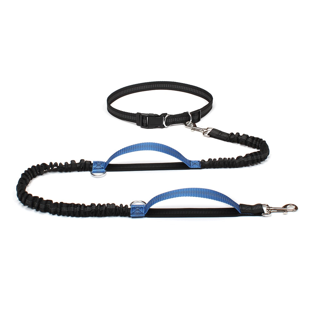 Reflective Dual Handle Bungee Dog Leash