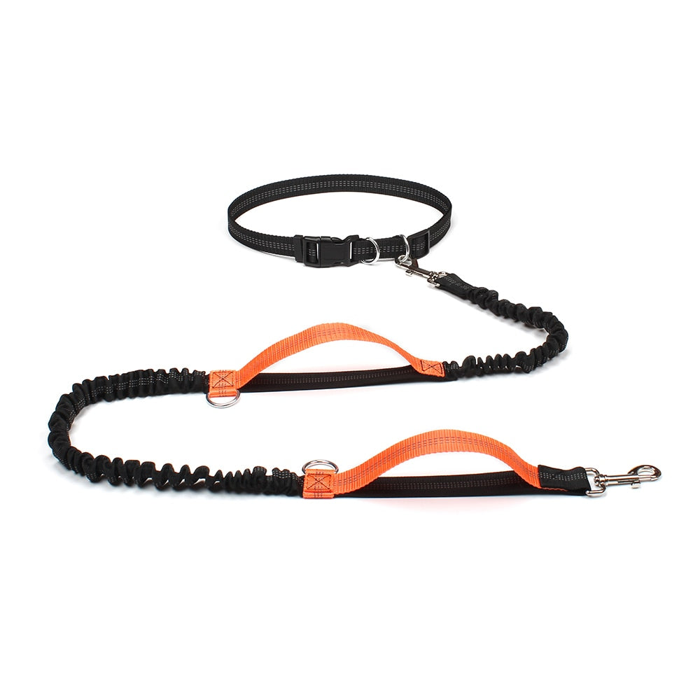 Reflective Dual Handle Bungee Dog Leash