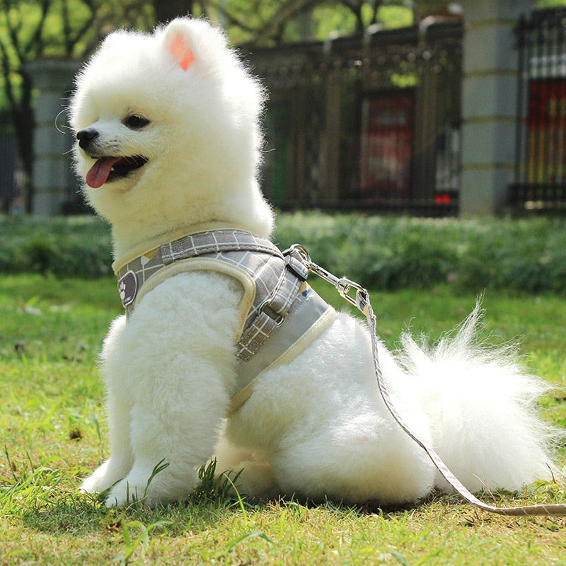 Cute Reflective Puppy Dog Harness