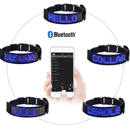 Text Display LED Dog Collar