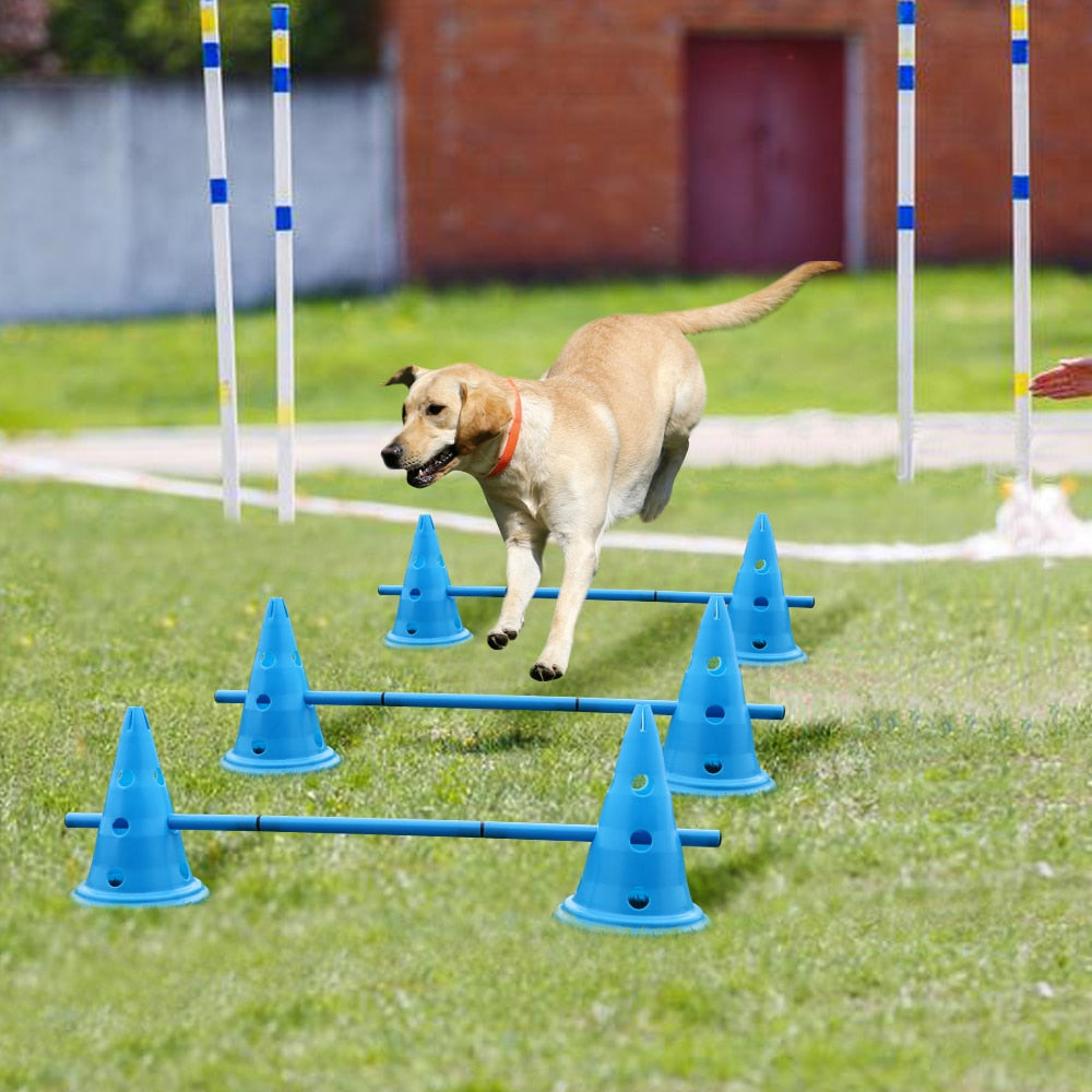 3 Sets Outdoor Dog Training Cones