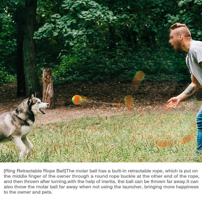 Interactive Dog Ball Launcher