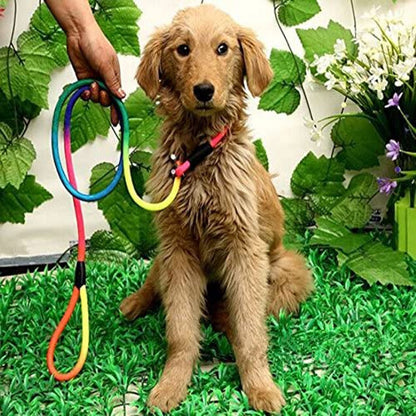 Rainbow Dog Nylon Rope Training Leash