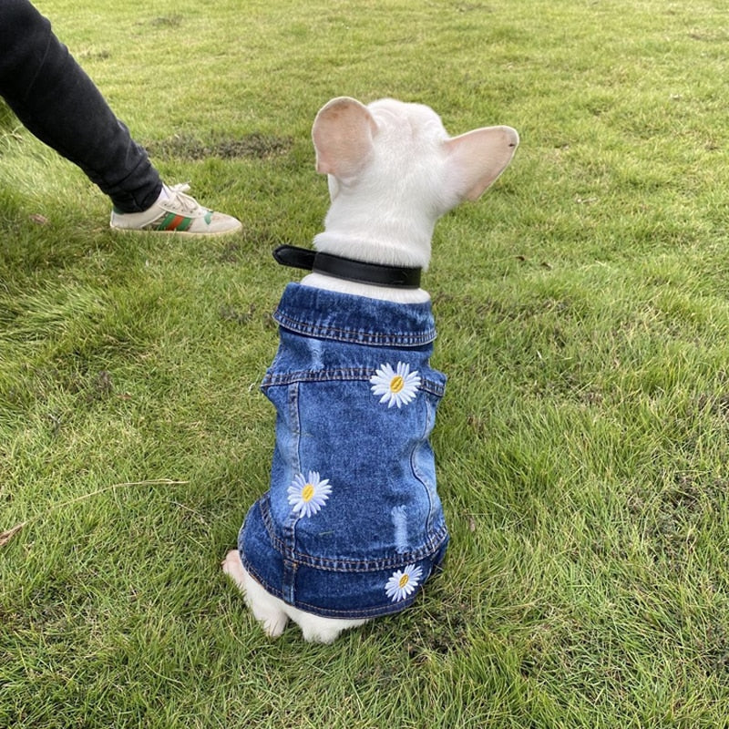 Denim Lapel Jeans Dog Jacket