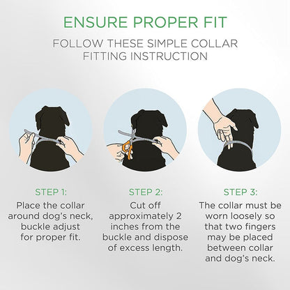 Safe Dog Flea and Tick Collar