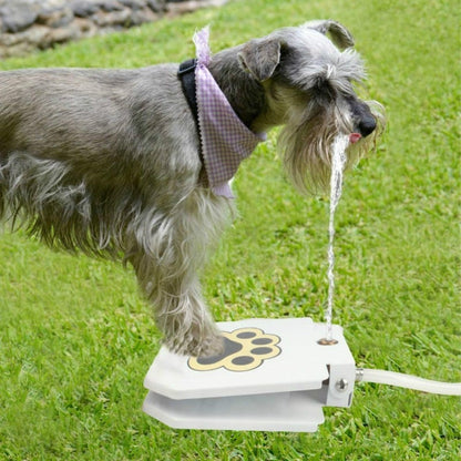 Outdoor Dog Step On Water Fountain