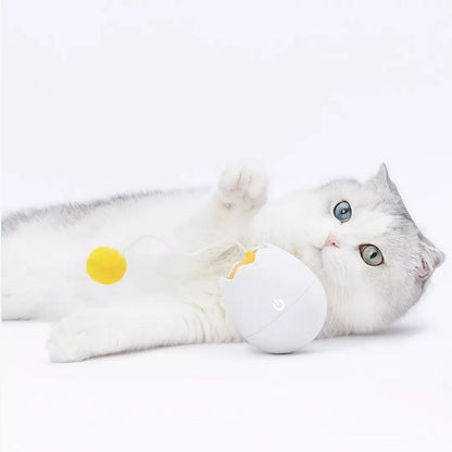 Interactive Motion Teaser Cat Toy