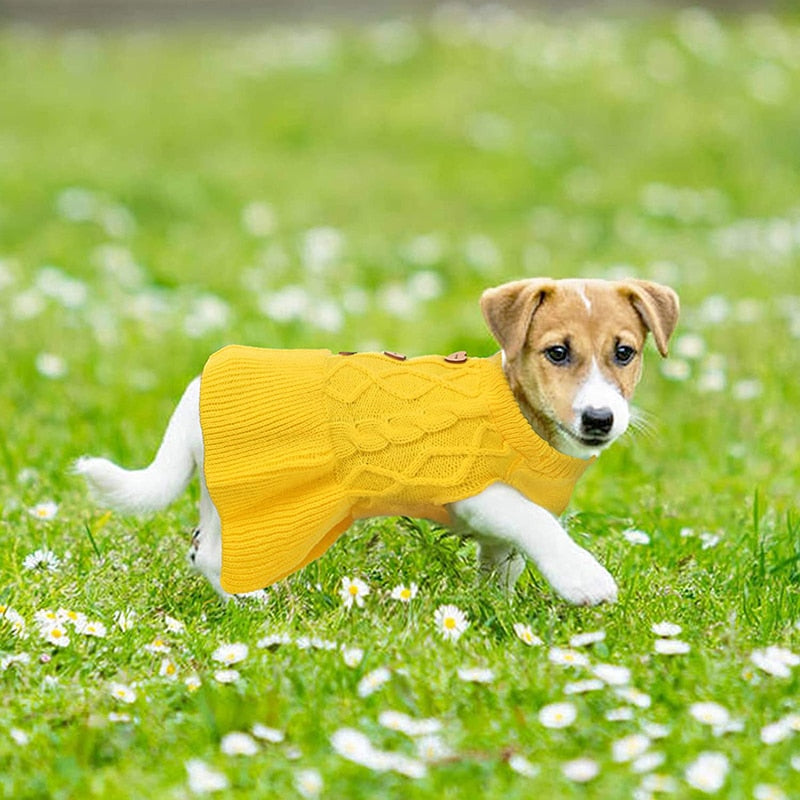 Cute Princess Style Dog Dress