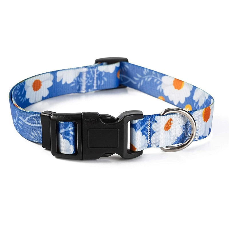 Bohemain Floral Dog Collar