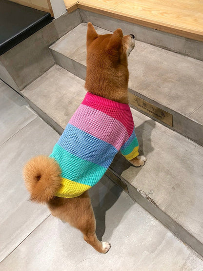 Knitted Rainbow Dog Sweater