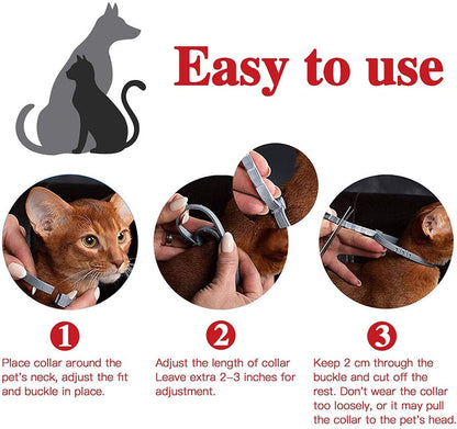 Effective Pet Flea Prevention Collar