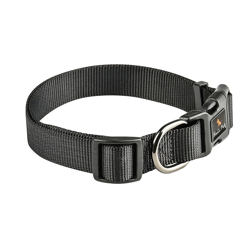 Sturdy Quick Release Dog Collar