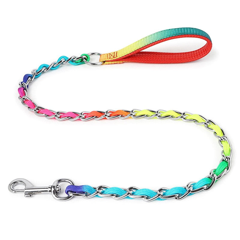 Sturdy Stainless Steel Rainbow Dog Lead