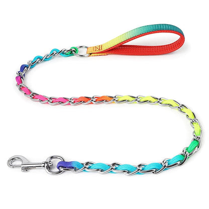 Sturdy Stainless Steel Rainbow Dog Lead