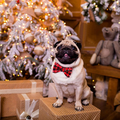 Christmas Snowflake Bow Tie Dog Collar