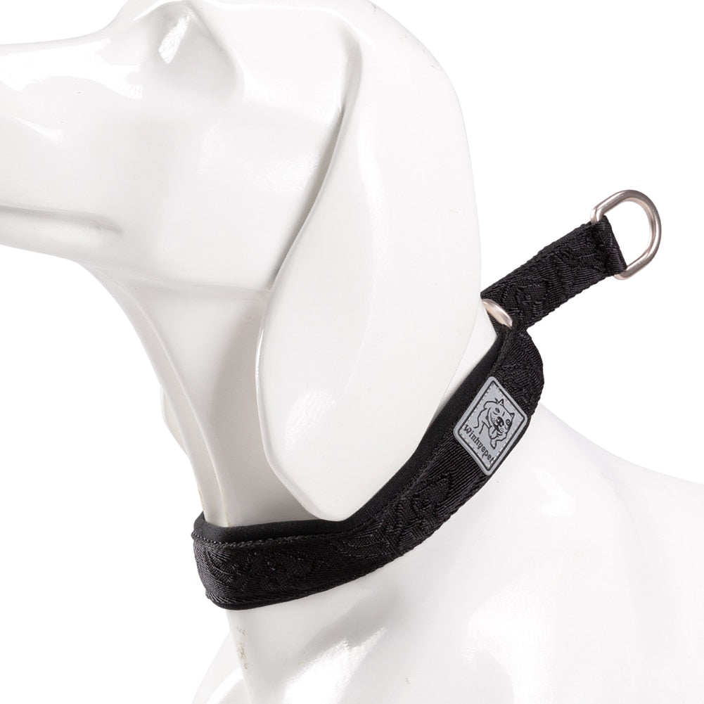 Nylon Webbing P-chain Pet Collar