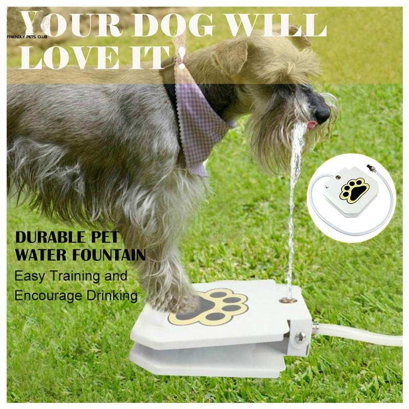 Outdoor Dog Step On Water Fountain