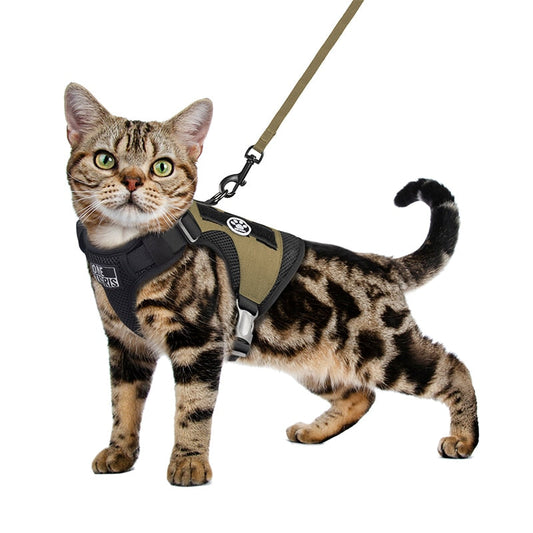 Protective Escape Proof Tactical Cat Harness