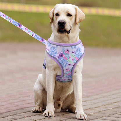 Fashion Reflective Dog Harness Set