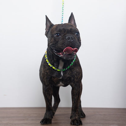 Rainbow Stainless Steel Dog Chain