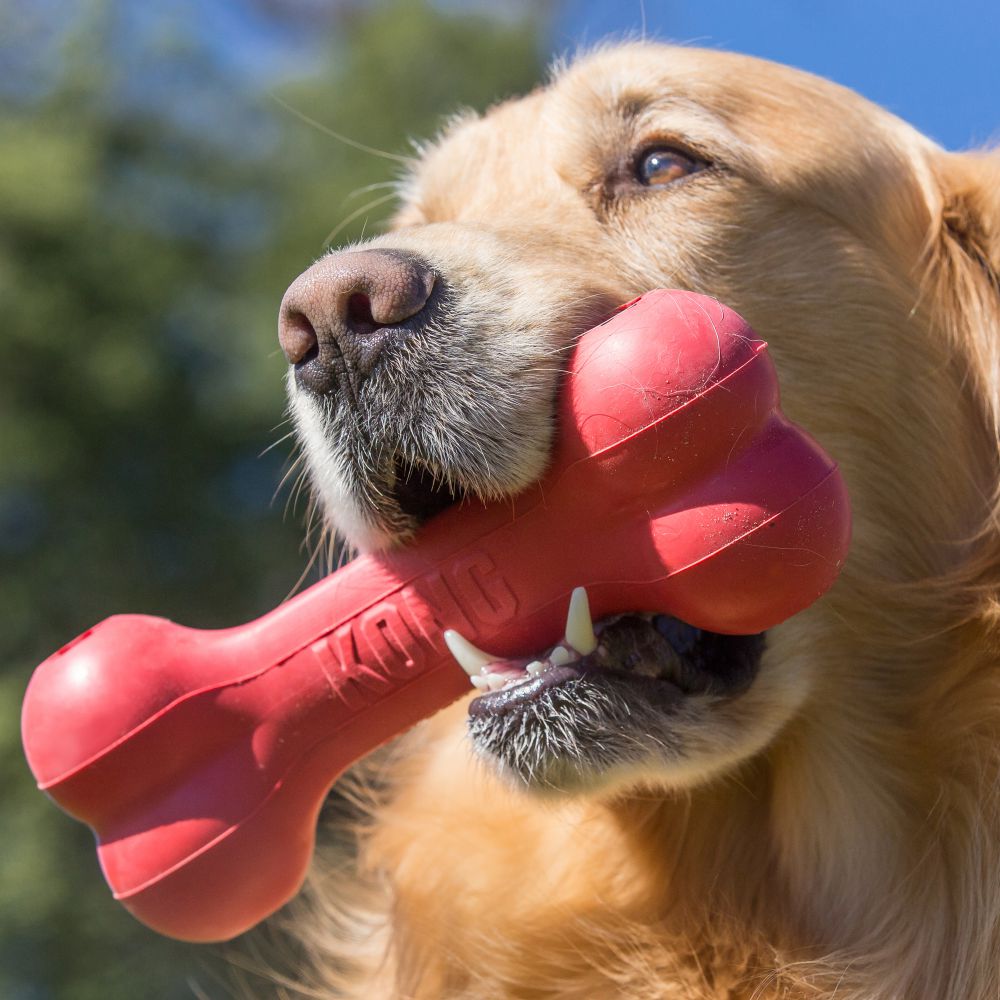 Classic Goodie Bone Dog Toy