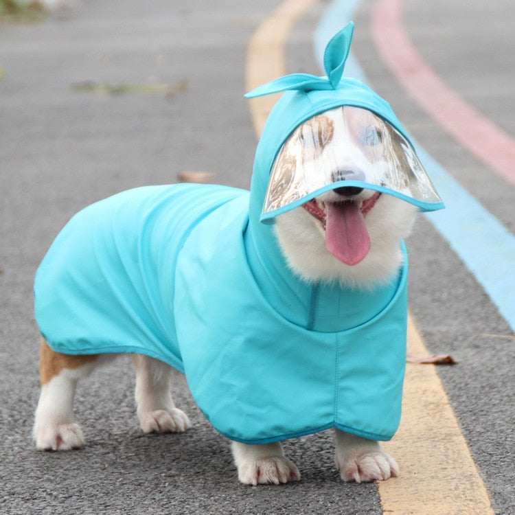 Cute Kerky Dog Raincoat