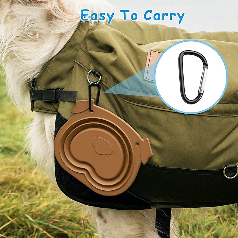 Collapsible Dog Bowl With Carabiner