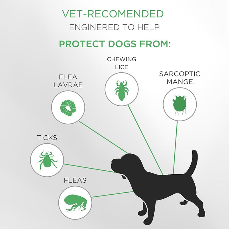 Safe Dog Flea and Tick Collar