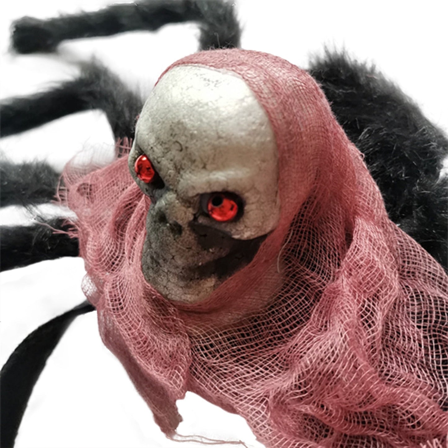 Halloween Skull Spider Pets Costume
