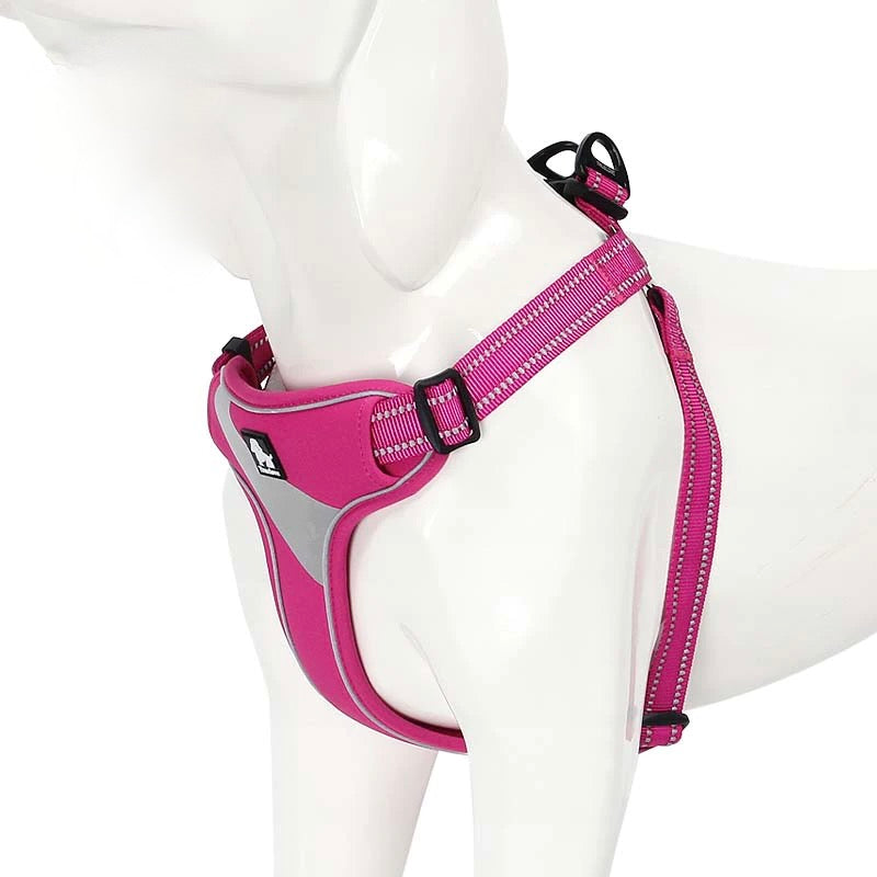Protective Nylon Walking Dog Harness