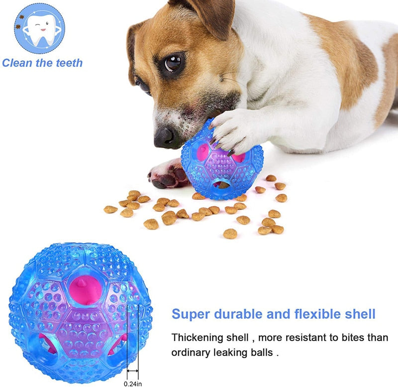 Durable Dog IQ Treat Toy Ball