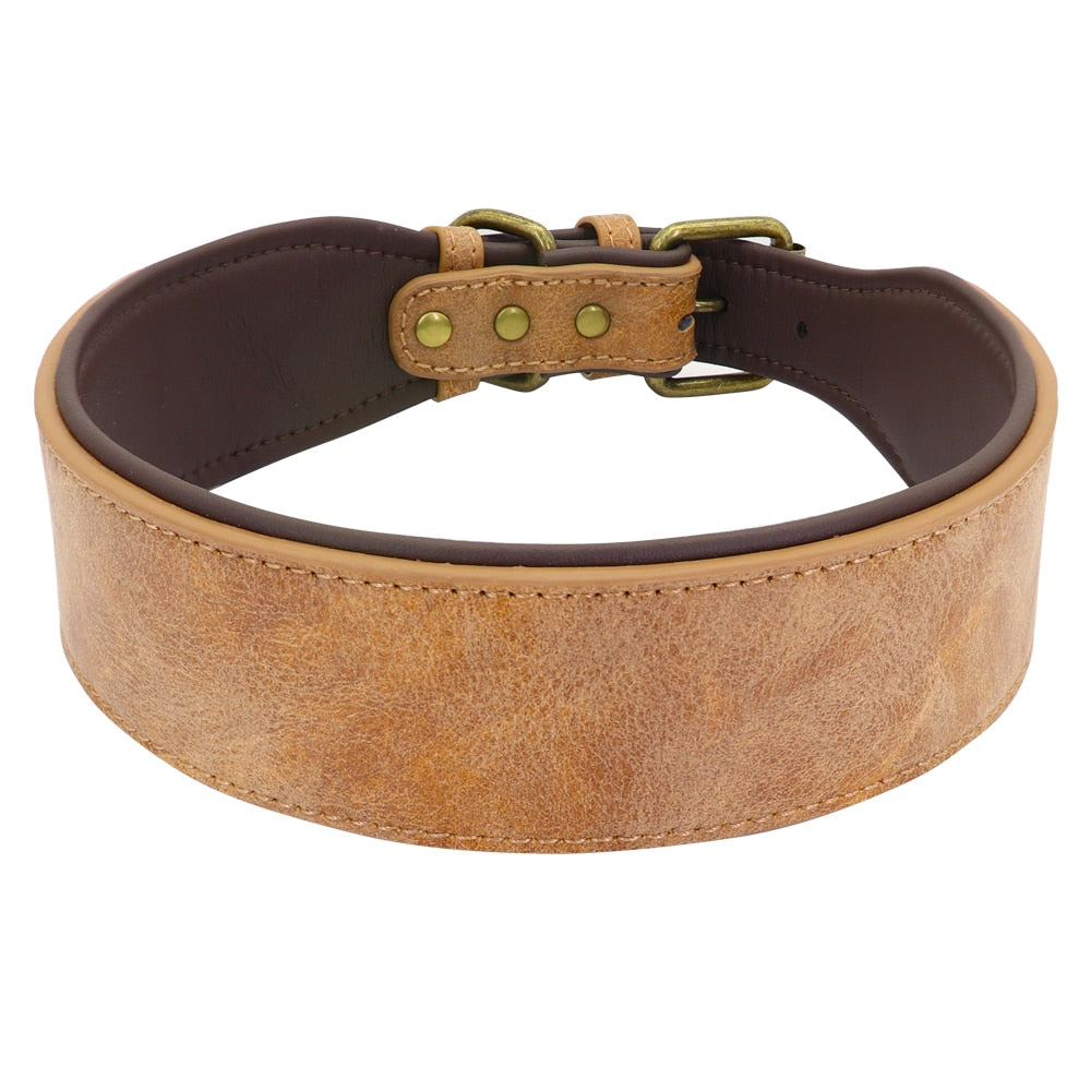 Soft Padded Wide Leather Dog Collar