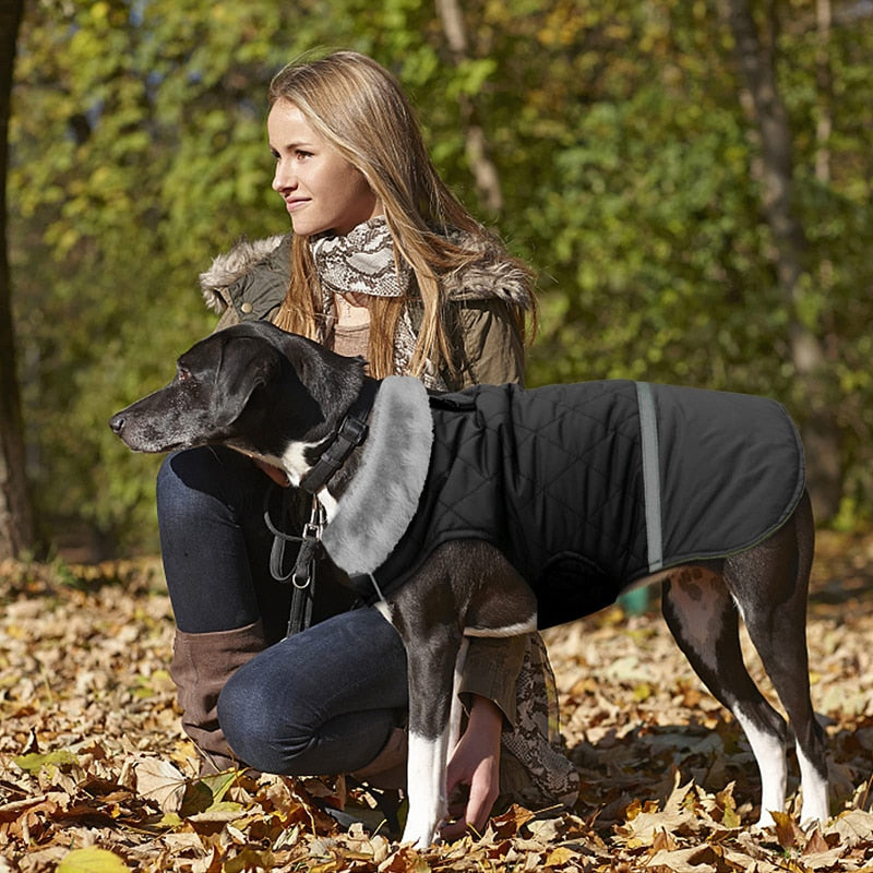 Quilted Cotton Reversible Dog Coat