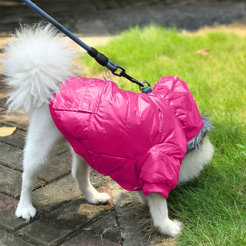 Windproof Padded Dog Winter Coat