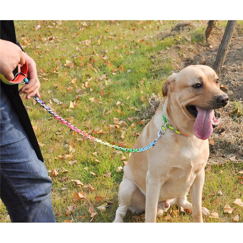 Sturdy Stainless Steel Rainbow Dog Lead