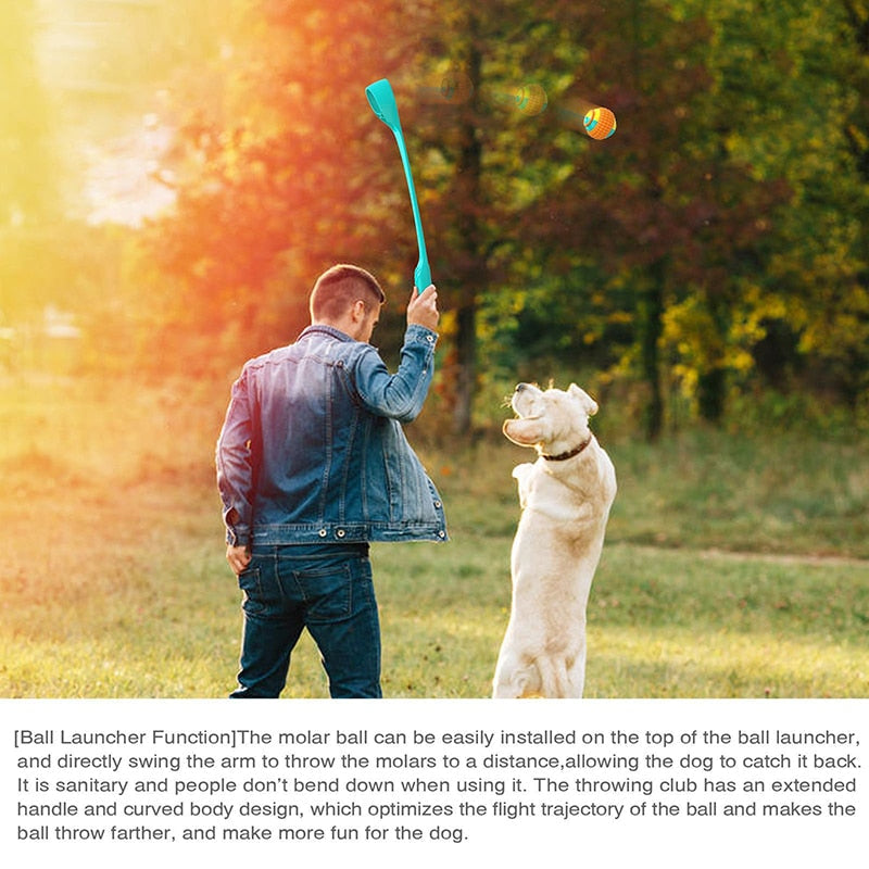 Interactive Dog Ball Launcher