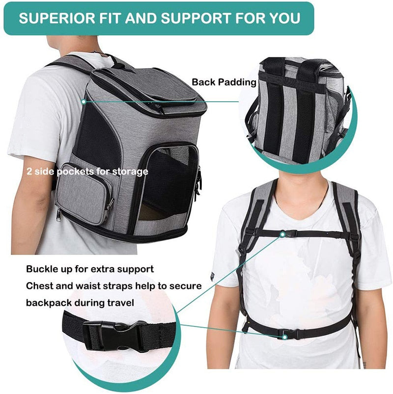 Safety Design Collapsible Dog Backpack