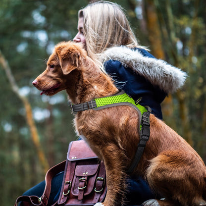 Reflective Soft Cooling Dog Harness