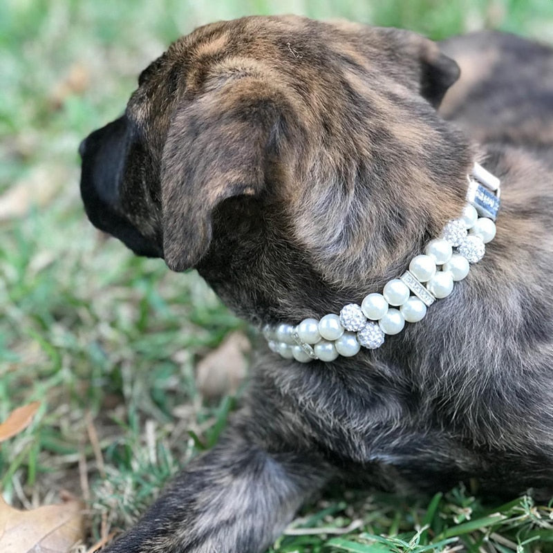 Elegant Crystal Rhinestone Dog Collar