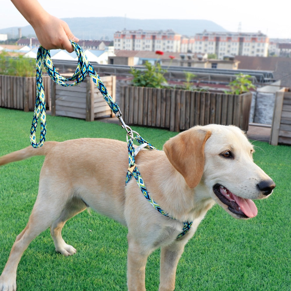 Adjustable Nylon Printed Dog Harness