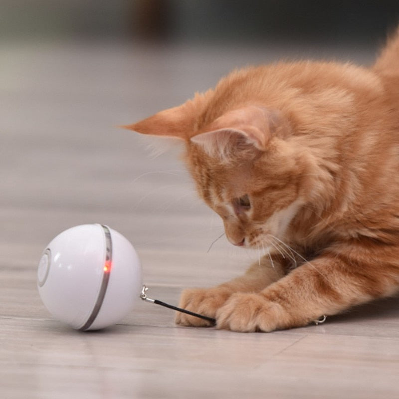 Intelligent Rotating Cat Ball Toy