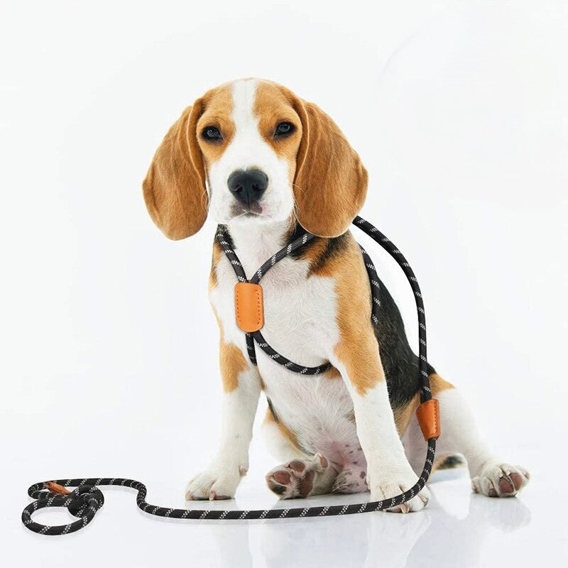 Durable Slip Dog Harness And Leash