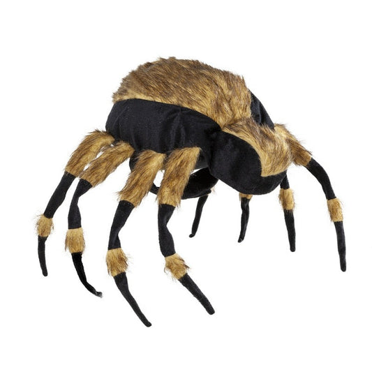 Funny Spider Pets Costume