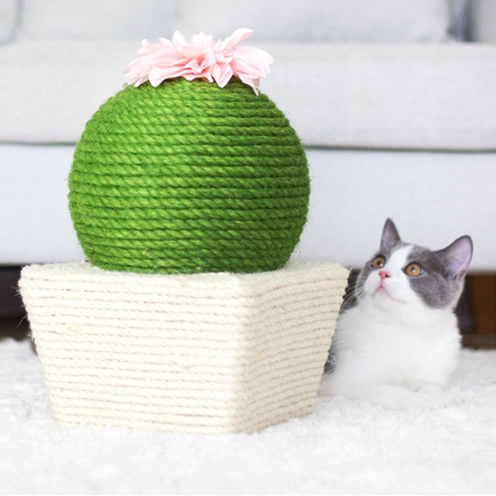 Green Cactus Cat Scratching Ball