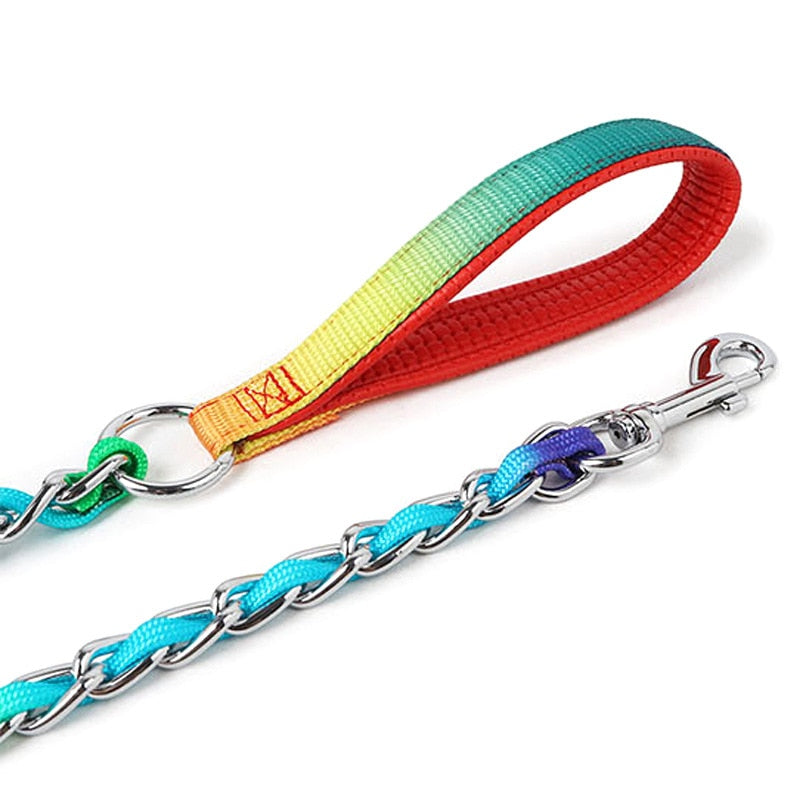 Sturdy Stainless Steel Rainbow Dog Lead