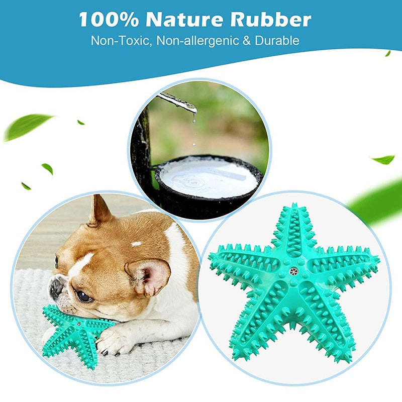 Squeaky Star Durable Dog Chew Toys