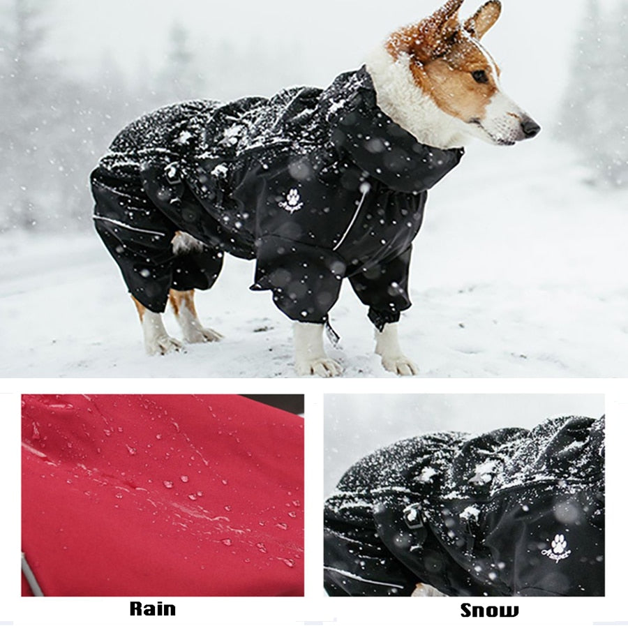 Winter Warm Dog Outdoor Raincoat